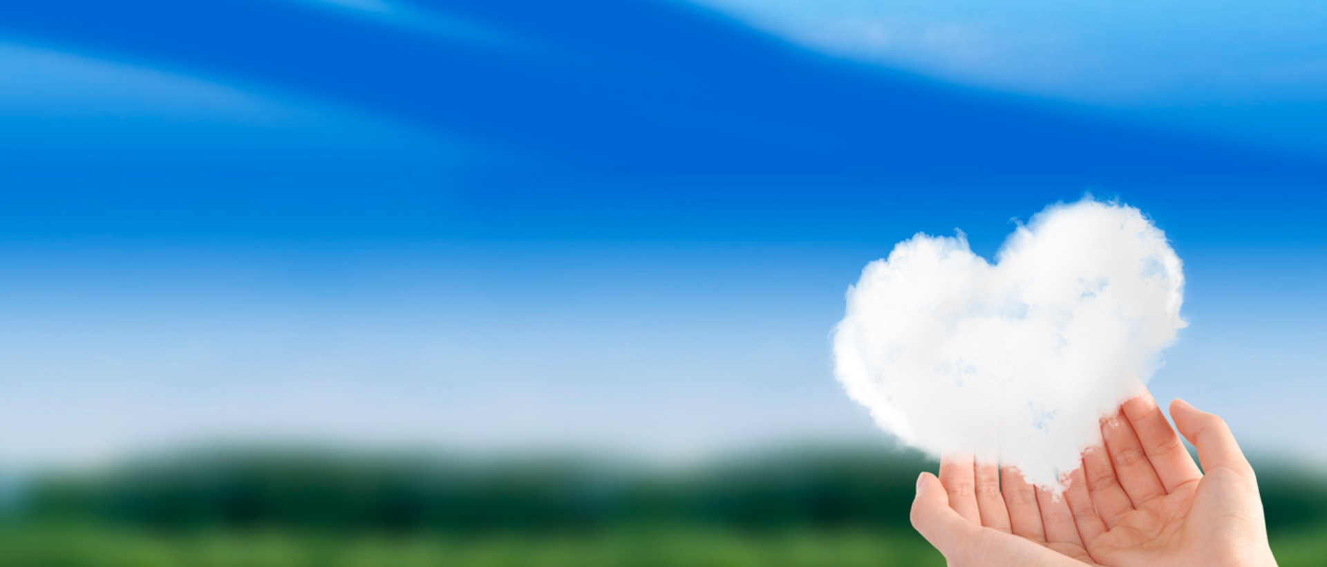 ̫������tyc4633